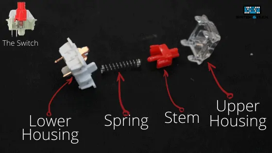 Infographic showing the different parts of a mechanical keyboard switch